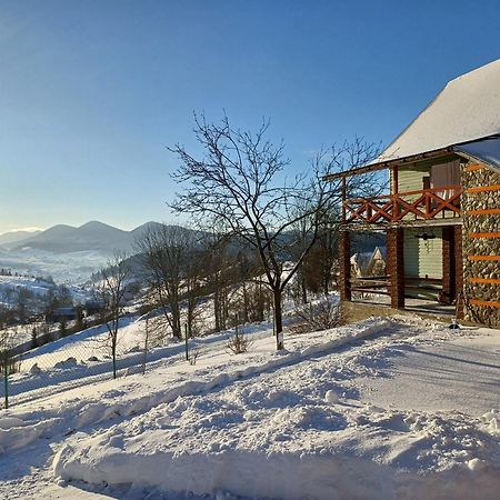 Green House Panorama Karpat 볼로샨카 외부 사진